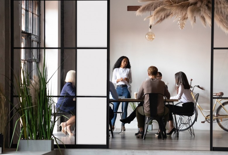 INT 383 White frosted film